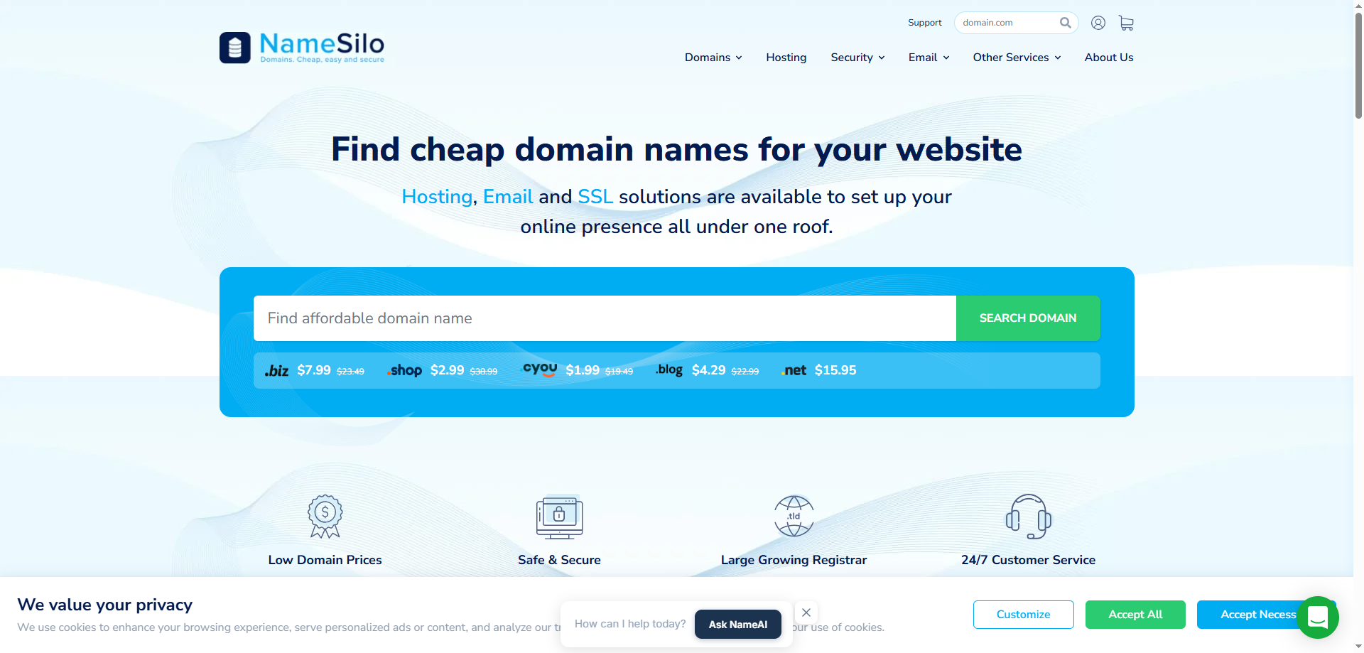Cheap Domain Names-Domain