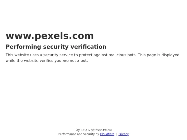 Pexels