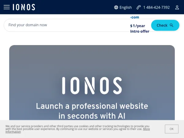 1&1 IONOS