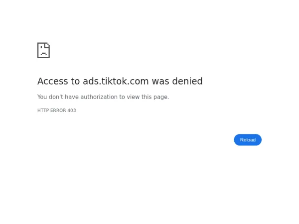 TikTok Ads