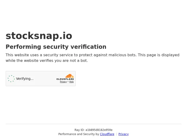 StockSnap